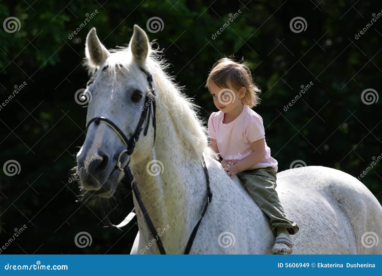 beauty intent girl riding bareback by gray horse