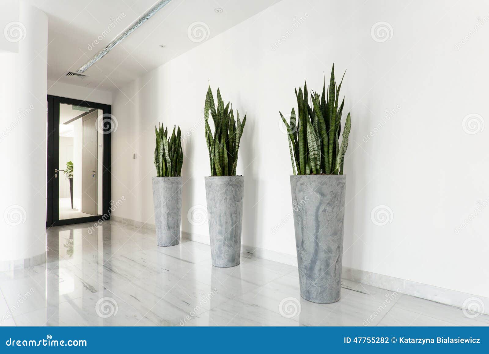 Beauty plants on corridor stock photo. Image of lounge 47755282