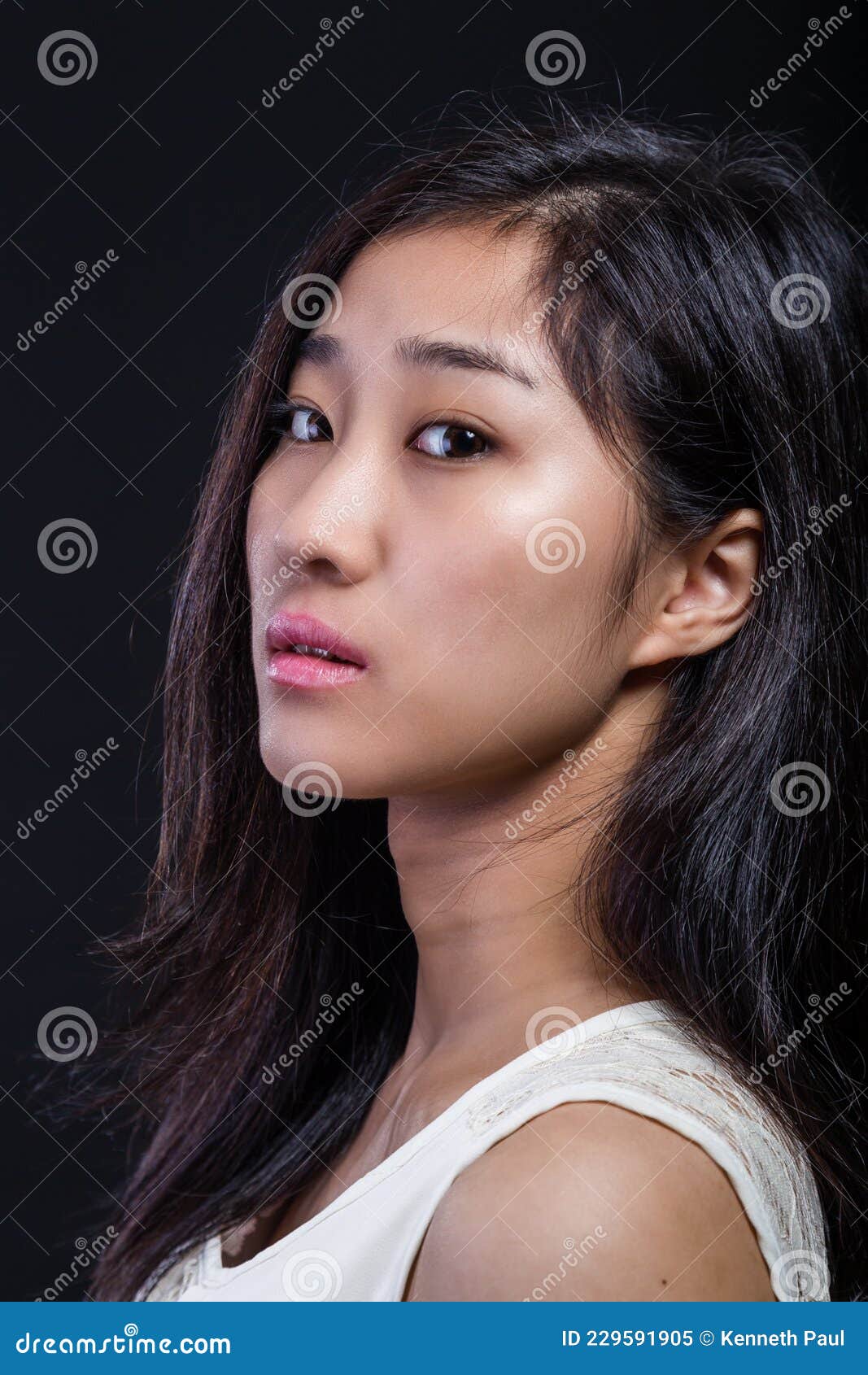 Beauty Portrait Of Asian American Fashion Model Stock Image Image Of Confident Girlish 229591905 