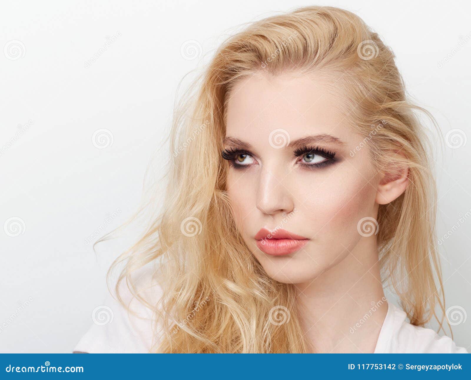 Beauty Portrait of Model with Trendy Natural Make-up. Fashion Shiny ...