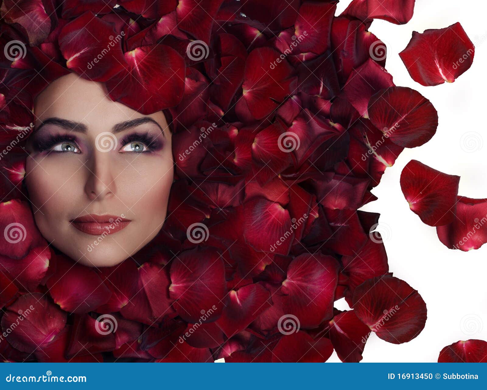 Beauty in Rose Petals stock photo. Image of caucasian 16913450