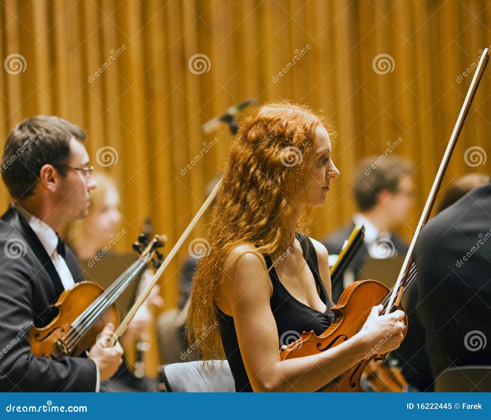 Beauty Violinist during a Concert Editorial Image Image of looking