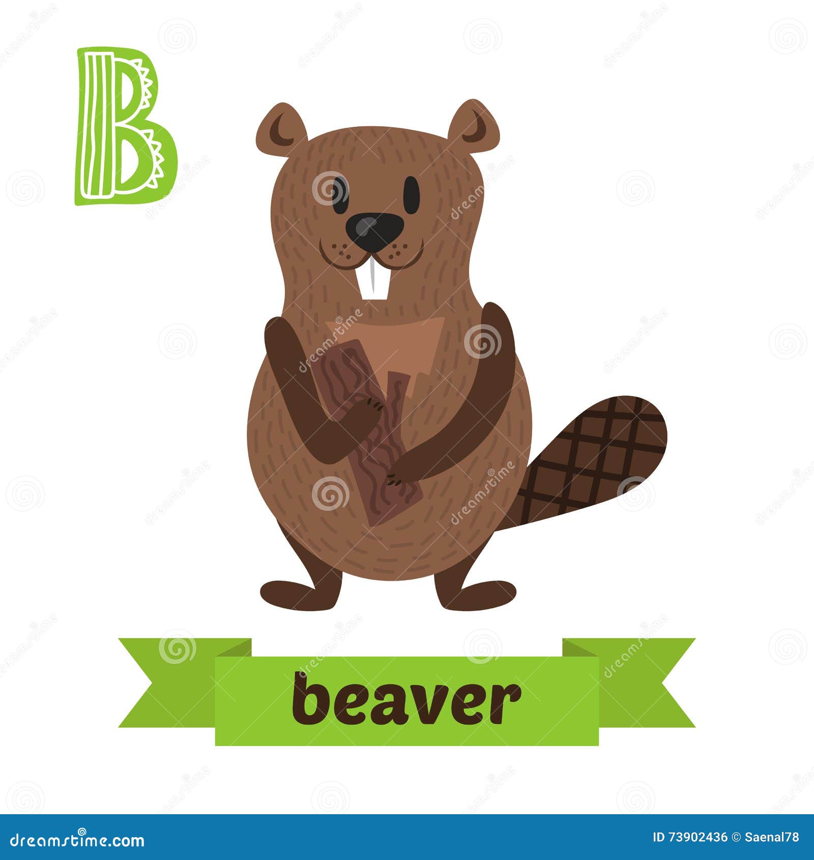 Beaver. B Letter. Cute Children Animal Alphabet in Vector Stock Vector - Illustration of cartoon, forest: 73902436 Beaver. B Letter. Cute Children Animal Alphabet in Vector Stock Vector - Illustration of cartoon, forest: 73902436