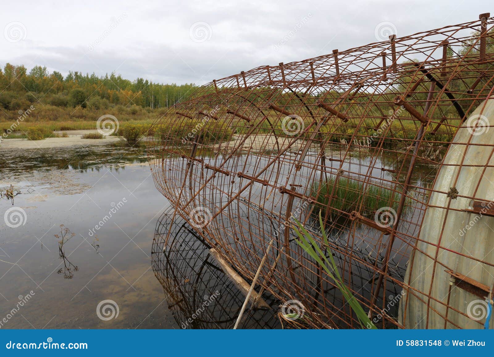 Beaver stop stock photo. Image of control, river, cloudy 58831548