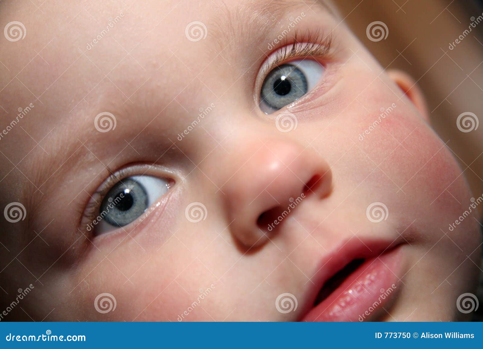 42 410 Bebe Con Los Ojos Azules Hermosos Fotos Libres De Derechos Y Gratuitas De Dreamstime