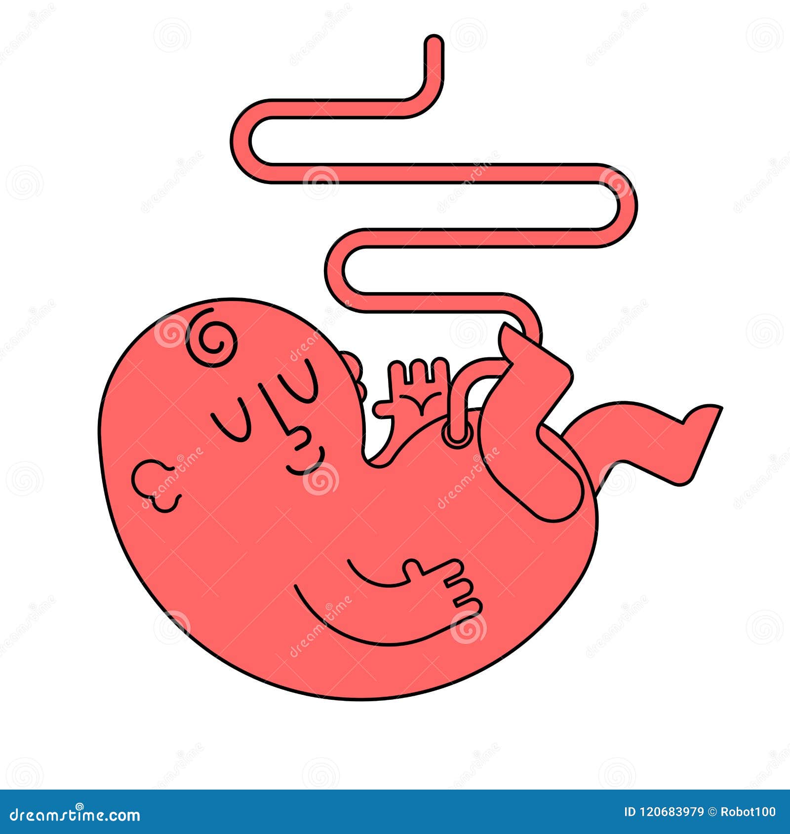 Bebe Recien Nacido Con El Cordon Umbilical Aislado Illustr Del Vector Del Embrion Ilustracion Del Vector Ilustracion De Inocencia Adentro Bebe Recien Nacido Con El Cordon Umbilical Aislado Illustr Del Vector Del Embrion Ilustracion Del Vector Ilustracion De Inocencia Adentro