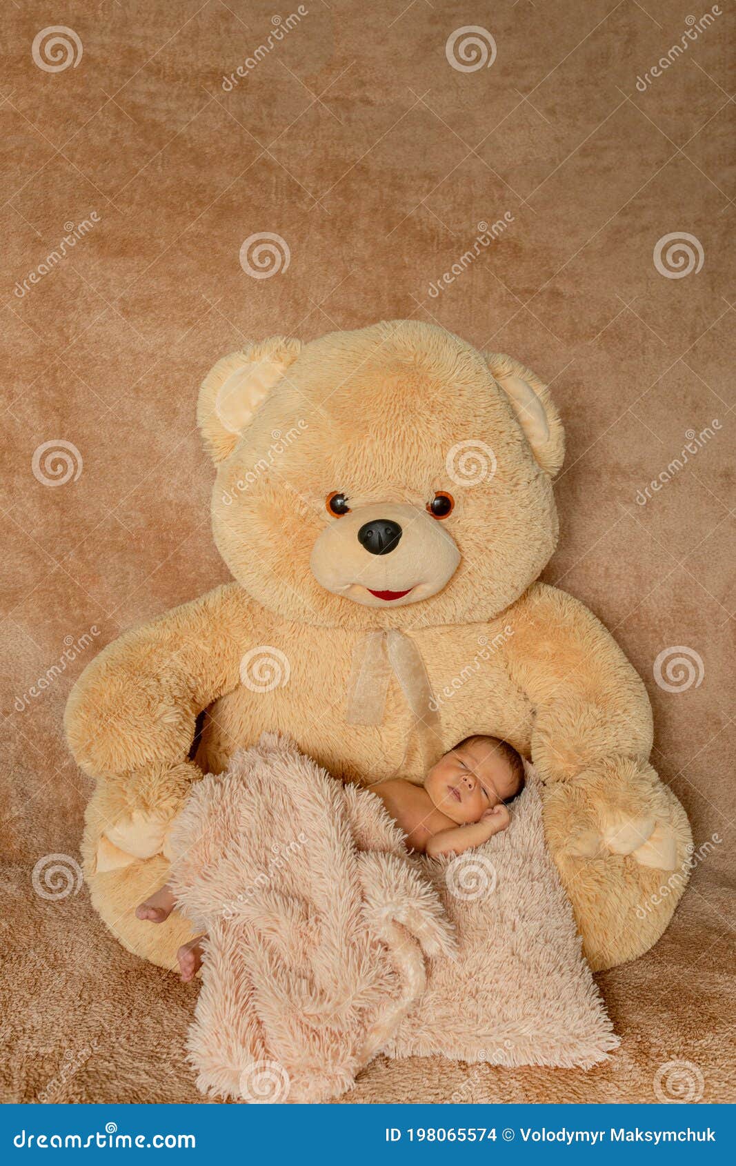 Bebé recién nacido de dos semanas durmiendo en oso de peluche