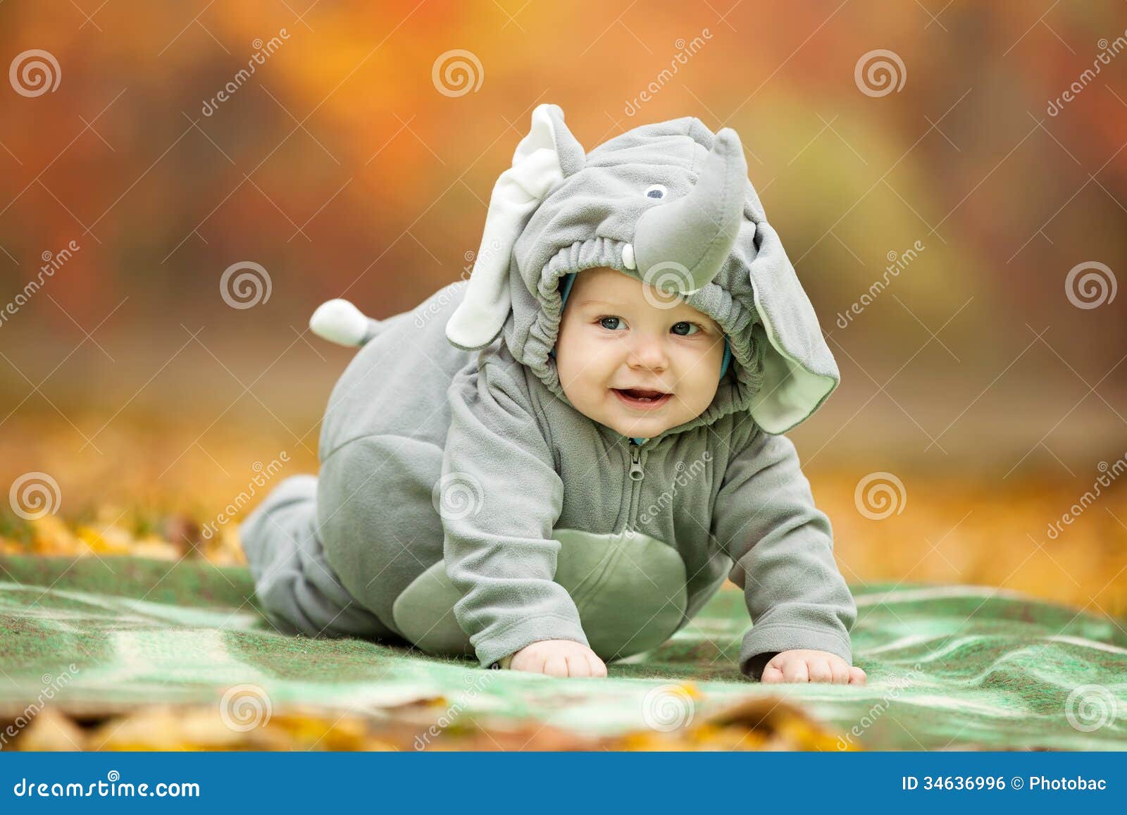 Bebé Vestido En Traje Del Elefante Foto de archivo - Imagen de halloween,  lindo: 34636996