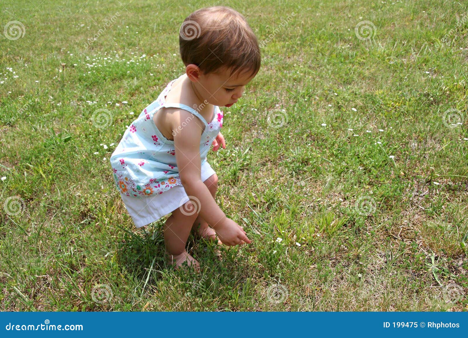 Bebé y malas hierbas. Bebé lindo fascinado por las malas hierbas en un campo. Tirado con Canon 20D.