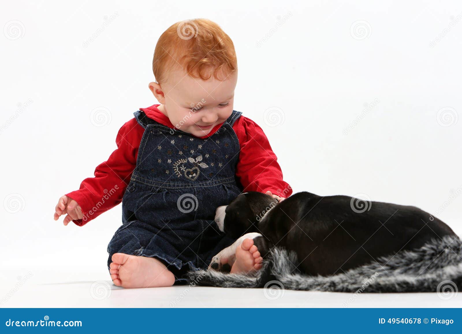 Bebê e filhote de cachorro. Bebê que joga com um cachorrinho no fundo branco