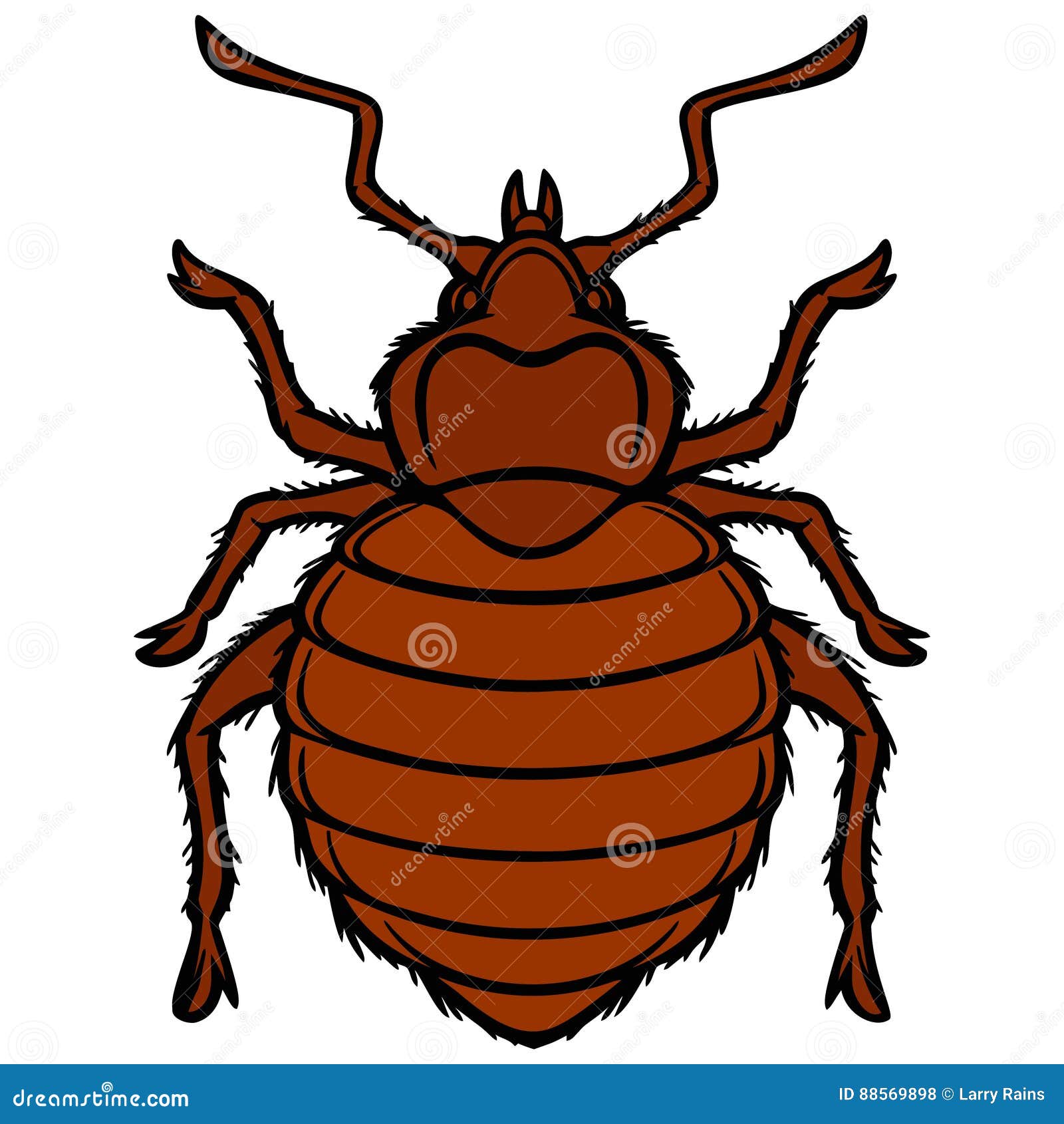 Bed Bug Graphic stock vector. Illustration of bedbug 88569898