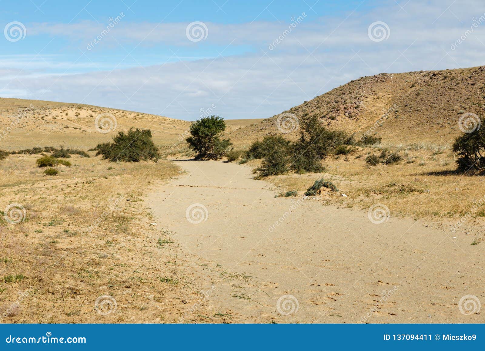 Bed of the Dried River in the Desert, Gobi Desert, Mongolia Stock Image -  Image of horizon, destinations: 137094411