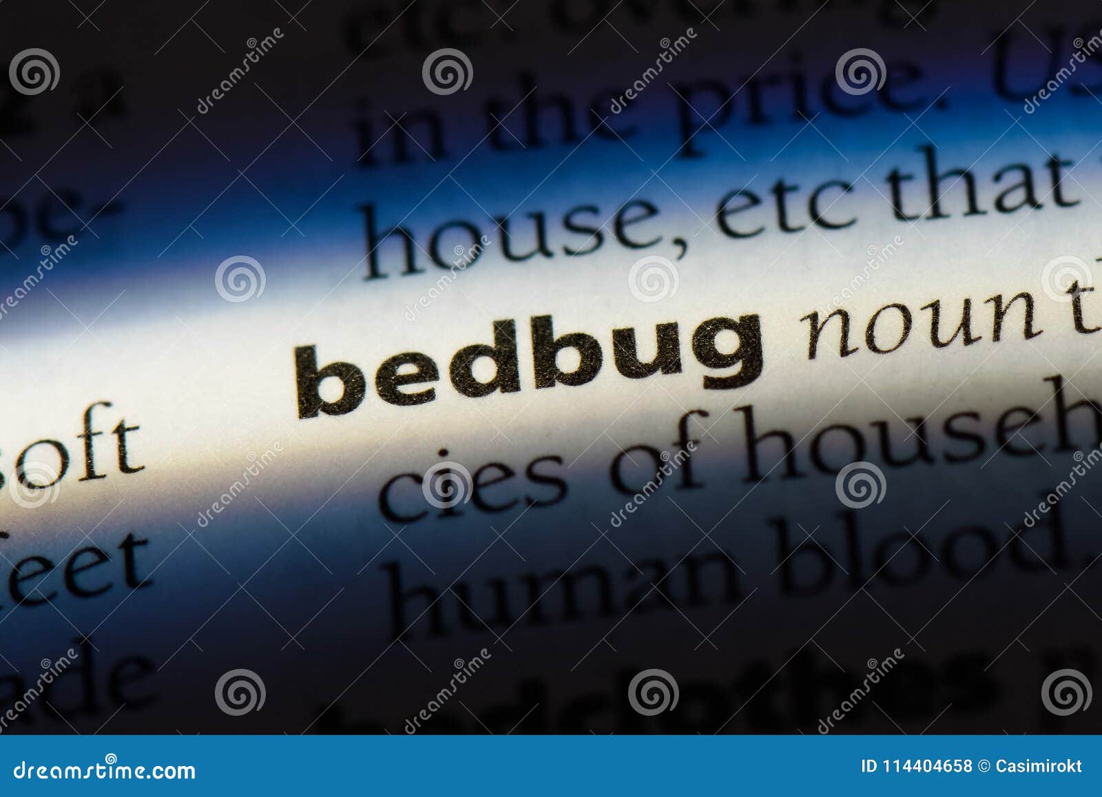 Bedbug stock photo. Image of writing, macro, page, word 114404658