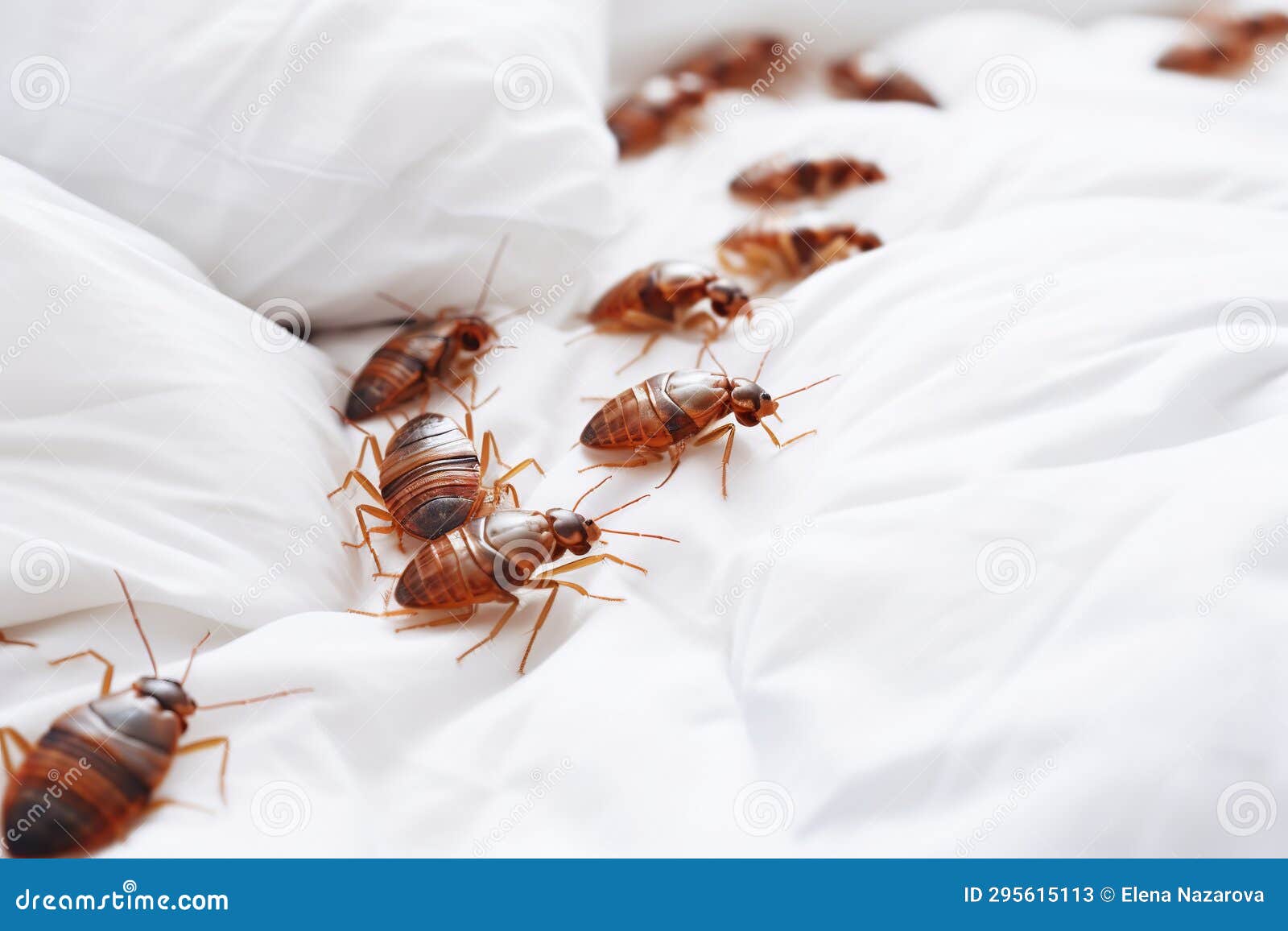 A Colony Of Cockroaches Crawls On The Sand In A Cave. Full Of Fake