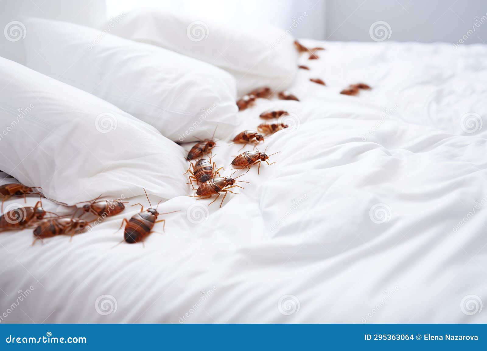 A Colony Of Cockroaches Crawls On The Sand In A Cave. Full Of Fake