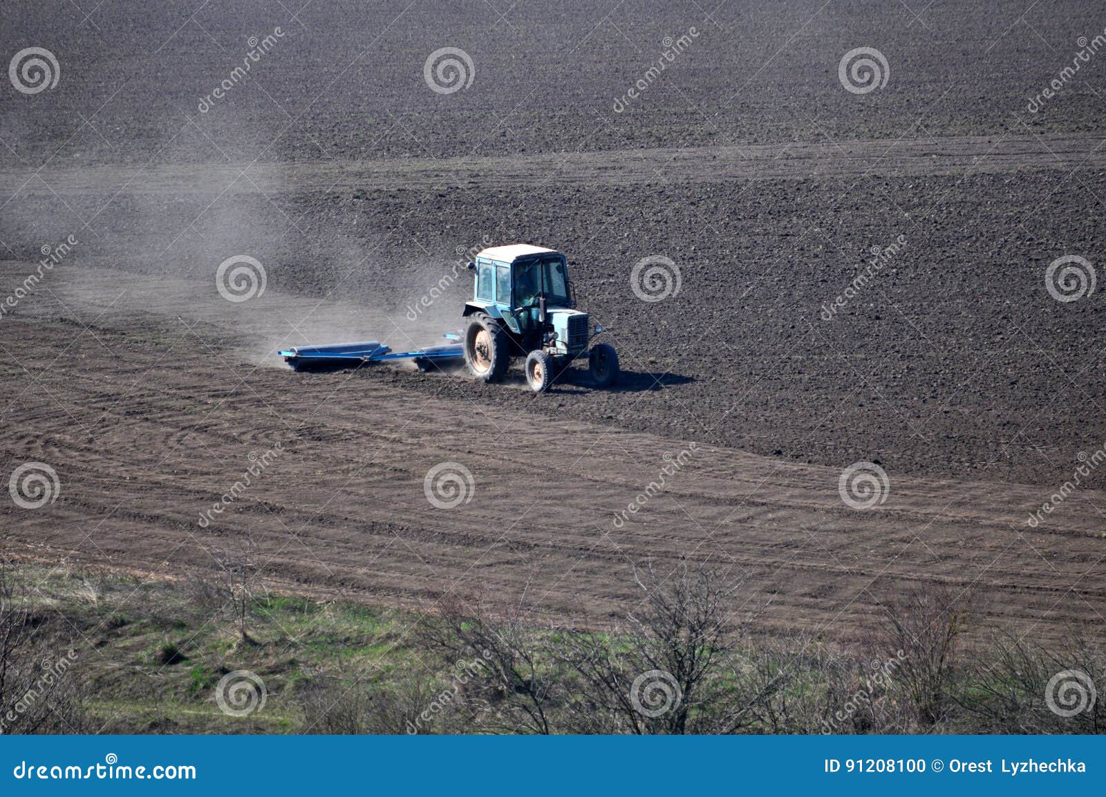 Bedding spring crops_7 stock photo. Image of agriculture 91208100