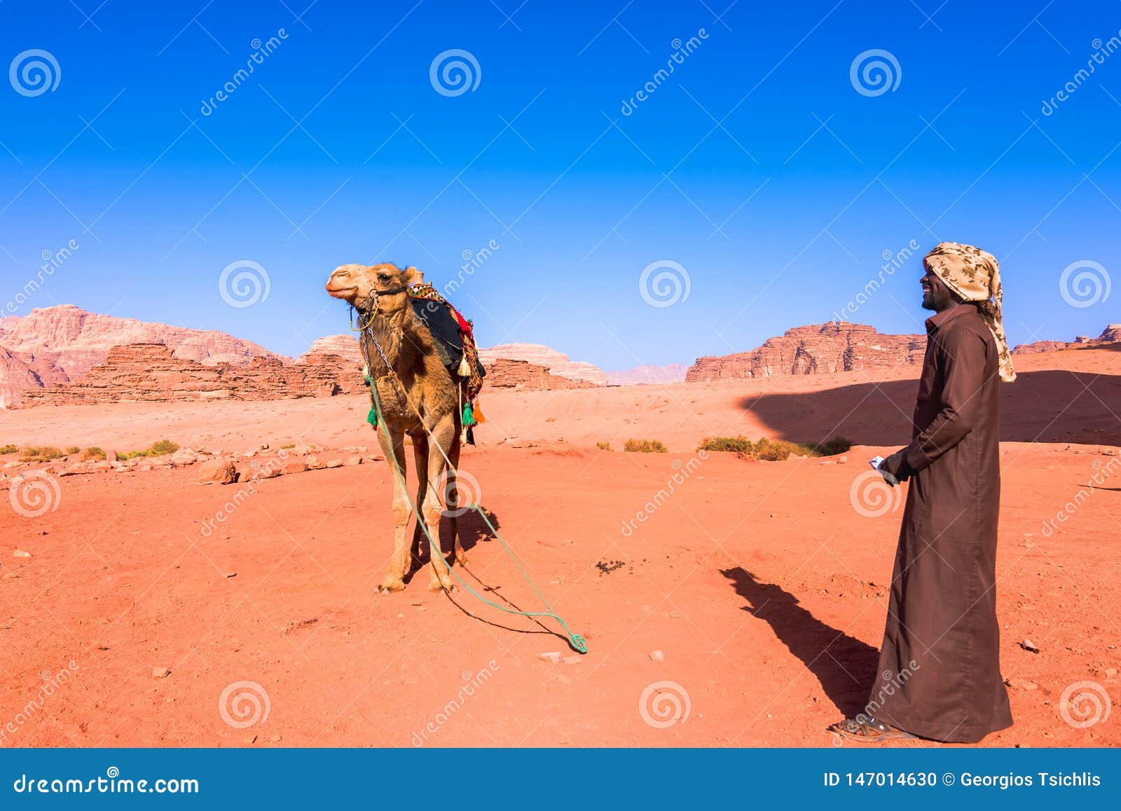 reparatøren Demontere omhyggelig Beduin and Camels in Wadi Rum Desert in Jordan. Editorial Image - Image of  heritage, sand: 147014630
