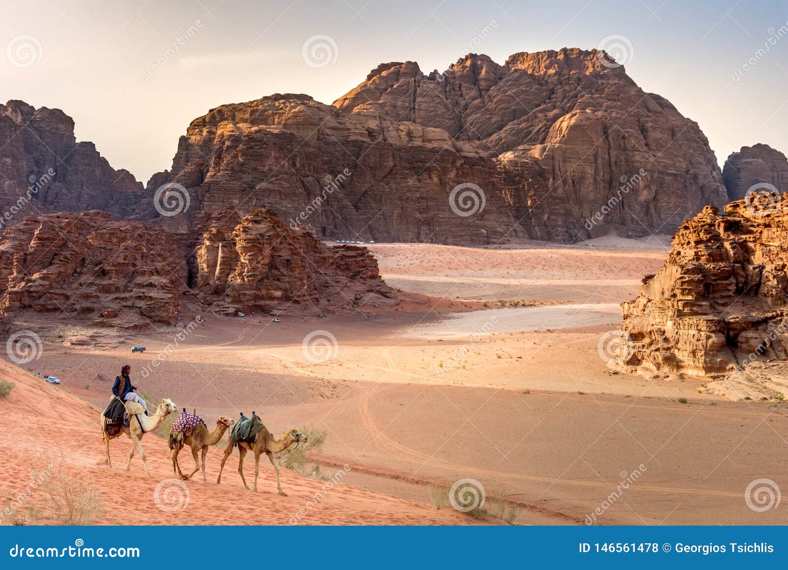 Mart Piping Løve Beduin and Camels in Wadi Rum Desert in Jordan. Editorial Stock Photo -  Image of riding, caravan: 146561478