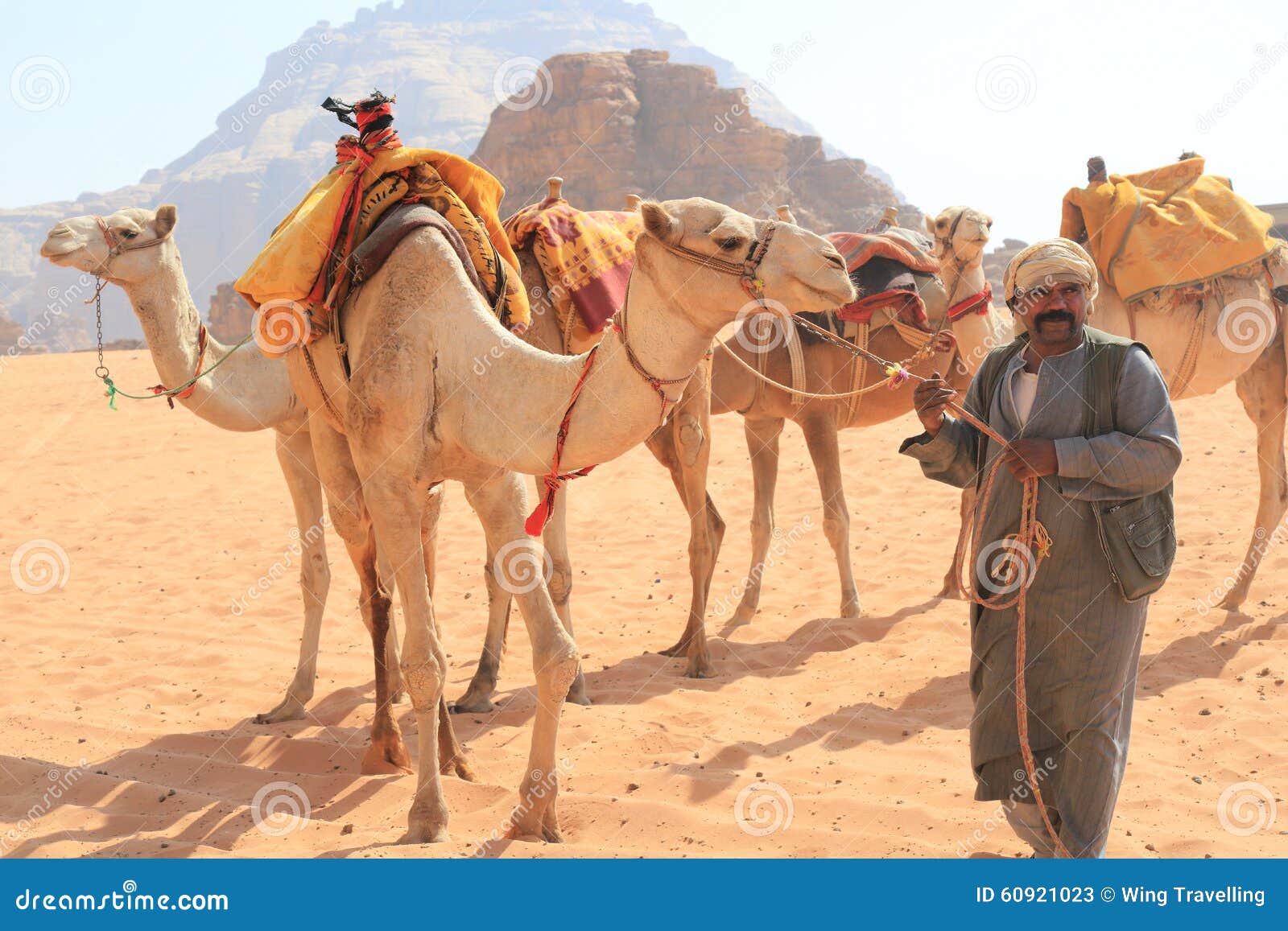 Lydighed besked Seks Beduin and their camels editorial stock photo. Image of drought - 60921023