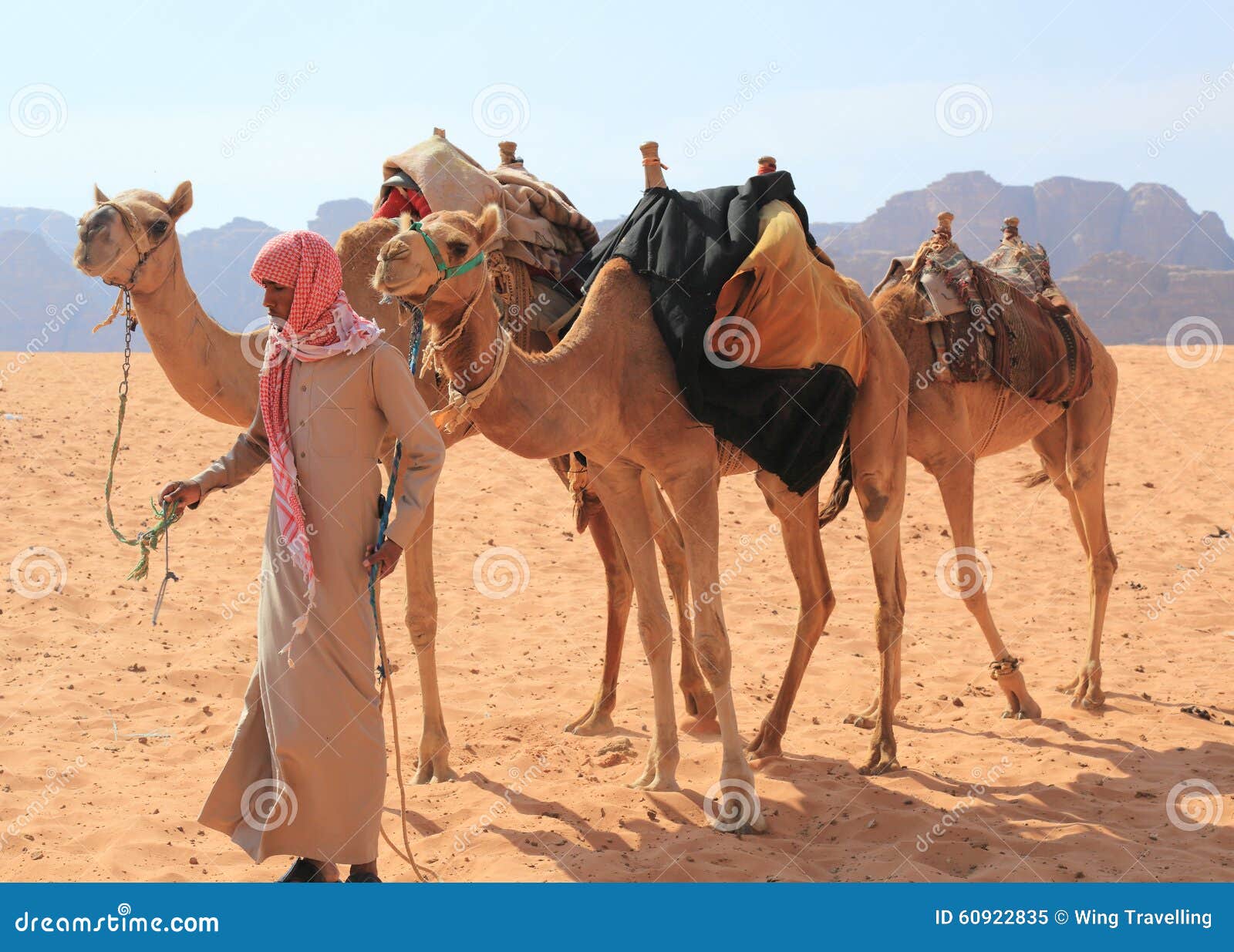 Ubetydelig Ingen måde Transcend Beduin and their camels editorial image. Image of descrtscape - 60922835