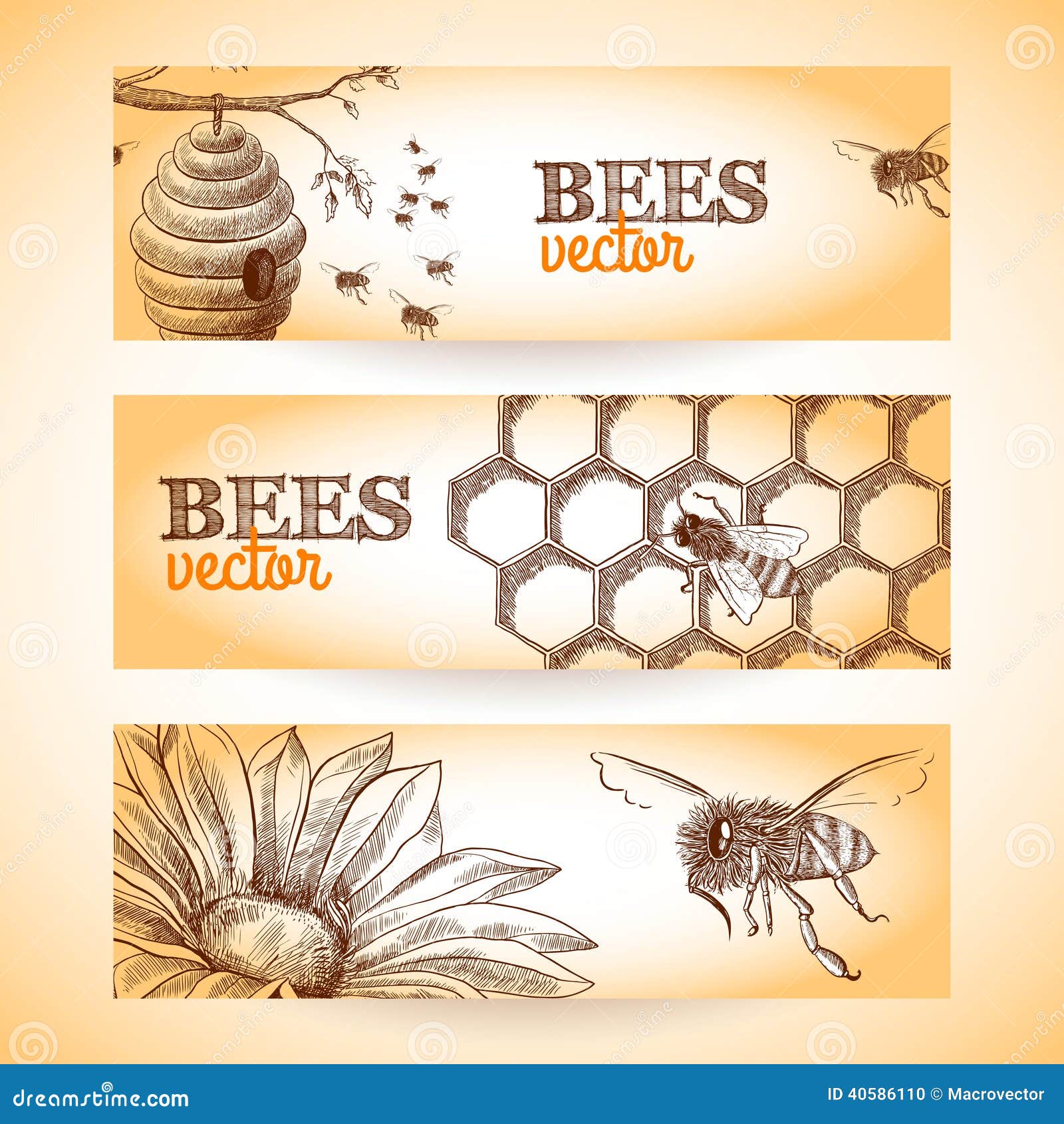 Honey bee hive comb and flower sketch banners set isolated vector 