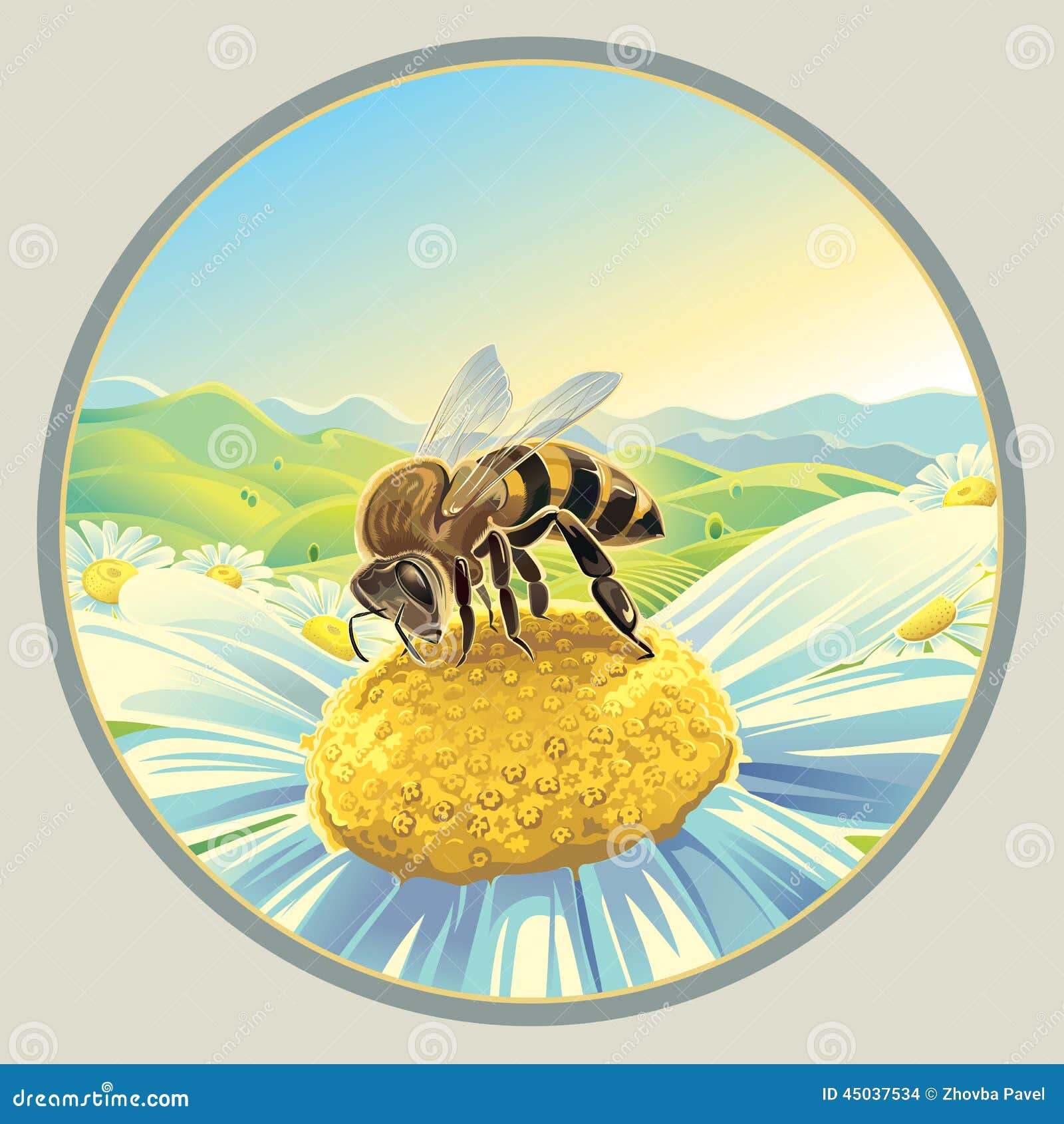 Bee on a flower stock vector. Illustration of lush, foliage 45037534