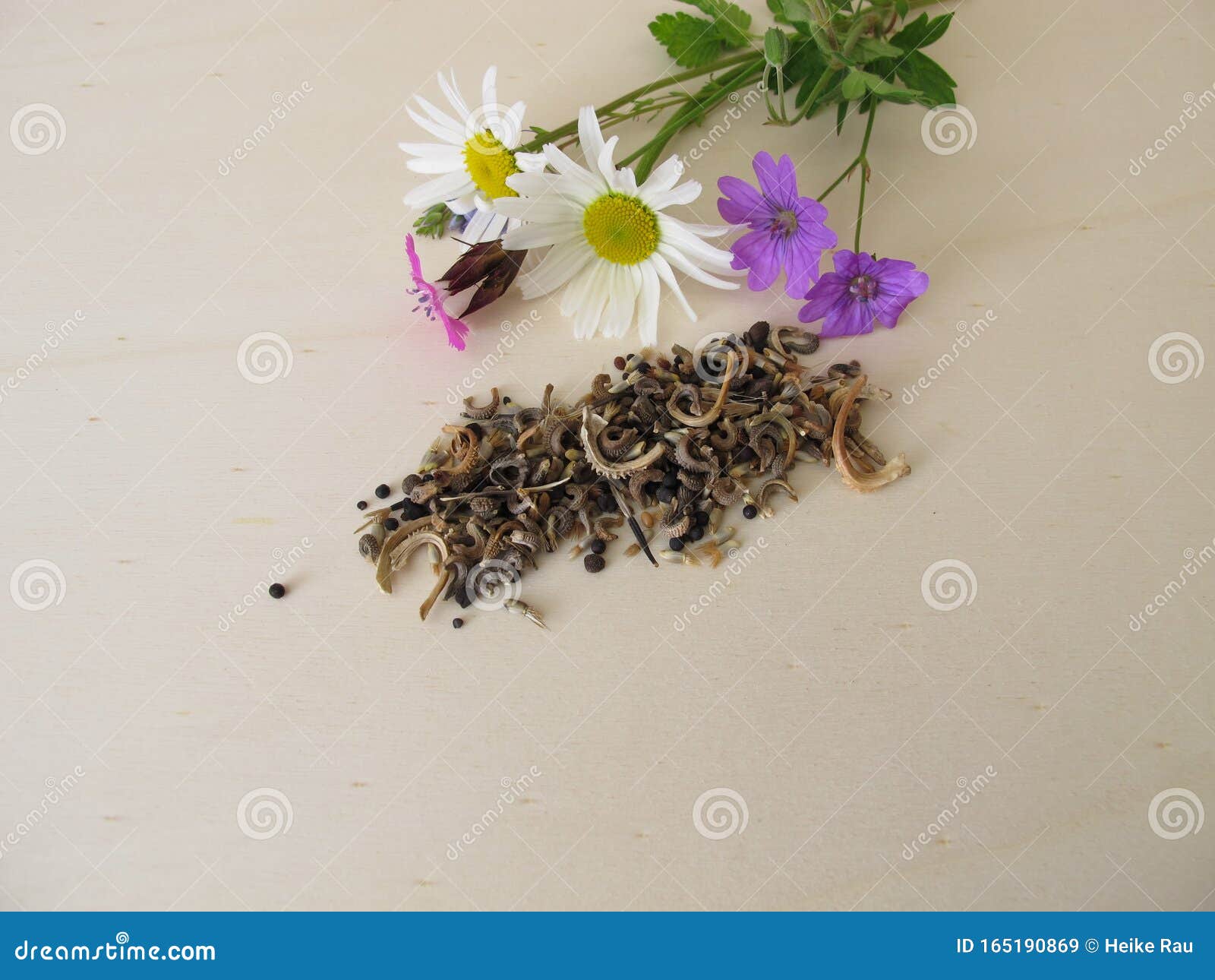 Bee Friendly Seed Mixture and Wildflowers for Wild Bees Stock Image