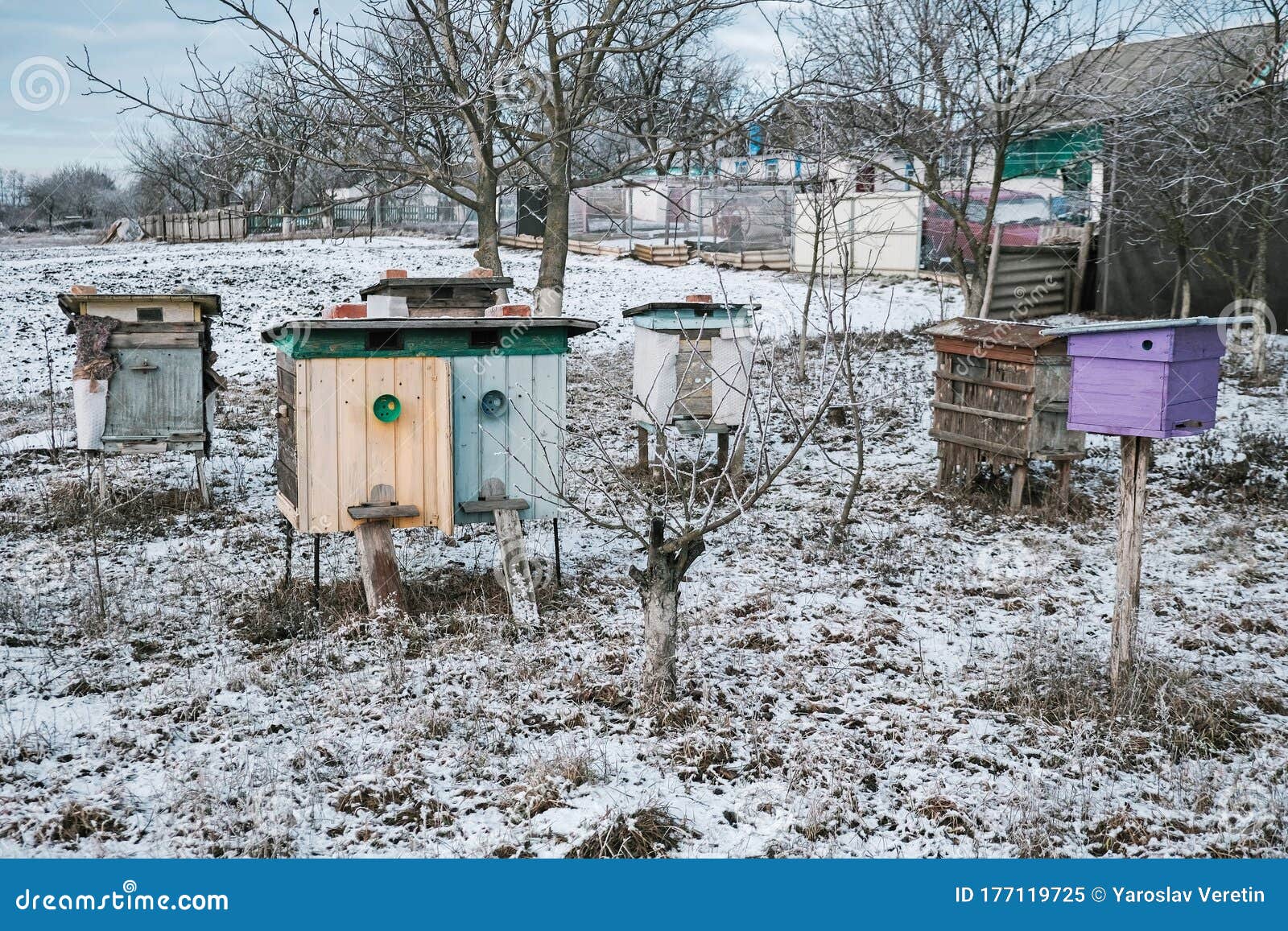 Bee Hives in Snow Winter at Field Stock Image Image of hive