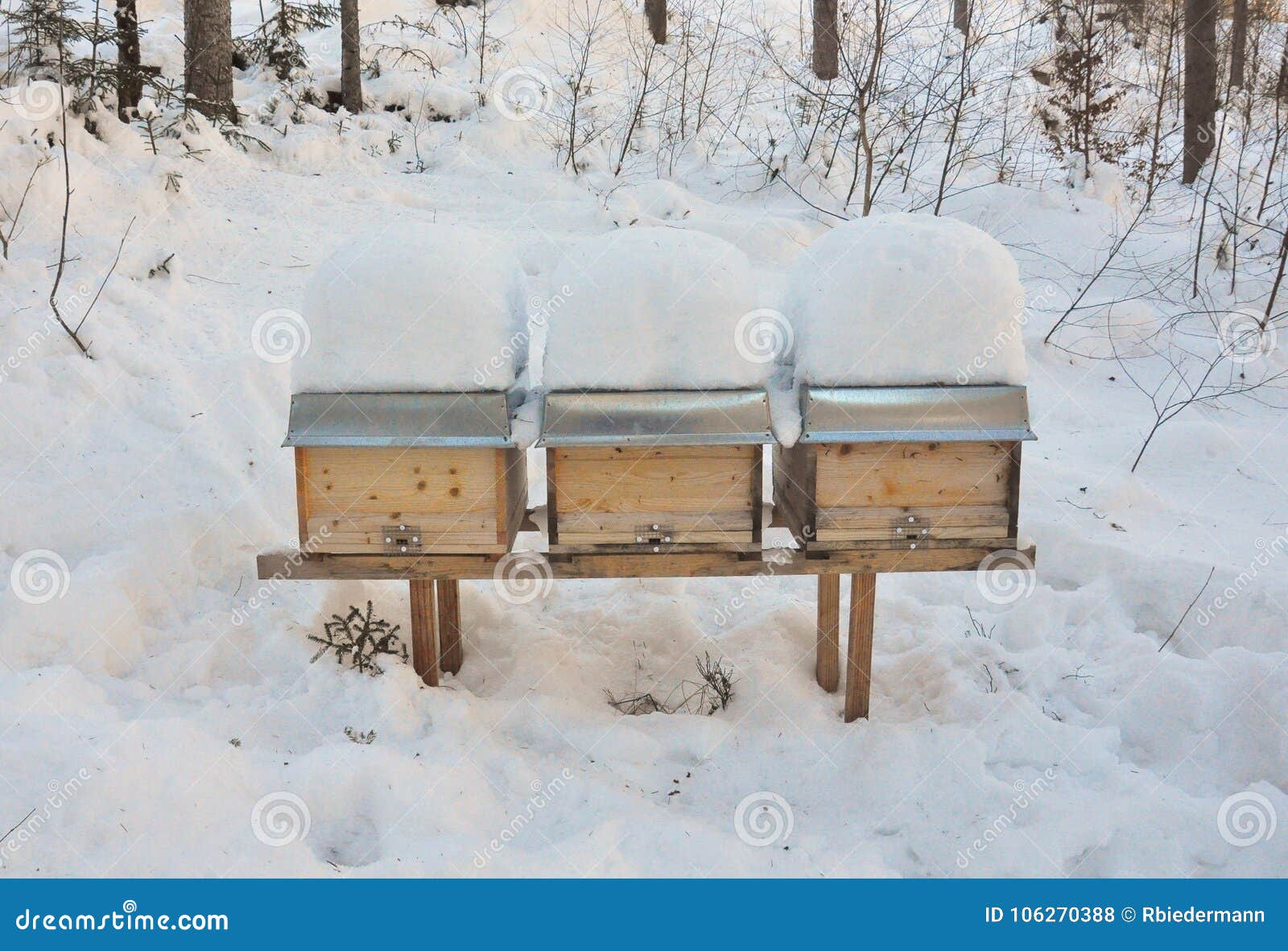 Bee hives in winter stock photo. Image of zander, winter 106270388