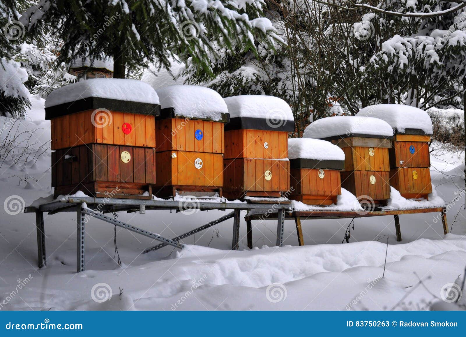 Bee hives in winter stock image. Image of snow, food 83750263