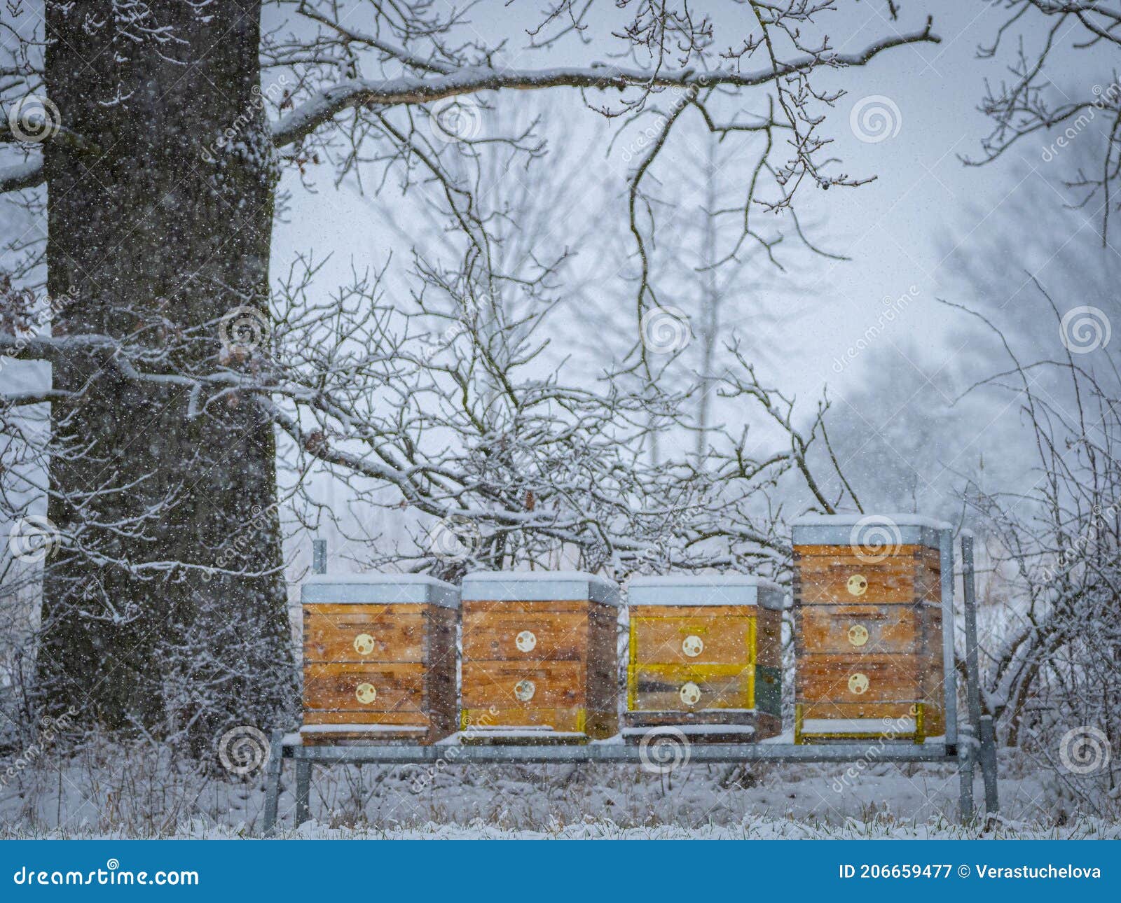 Bee Hives in Winter Time Hives in Snow Stock Image Image of cold