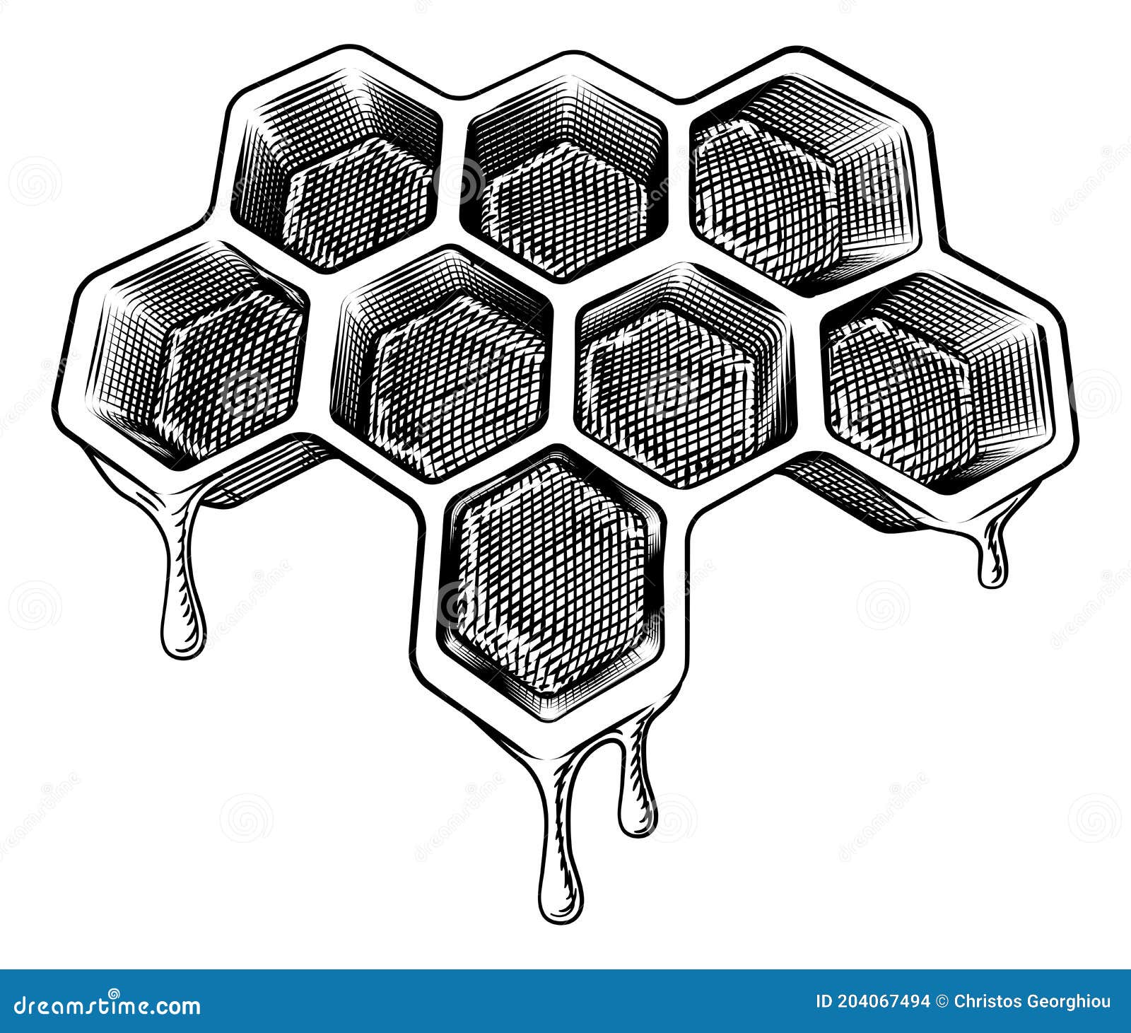 Bee Honeycomb Dripping With Honey Vintage Style Vector Illustration
