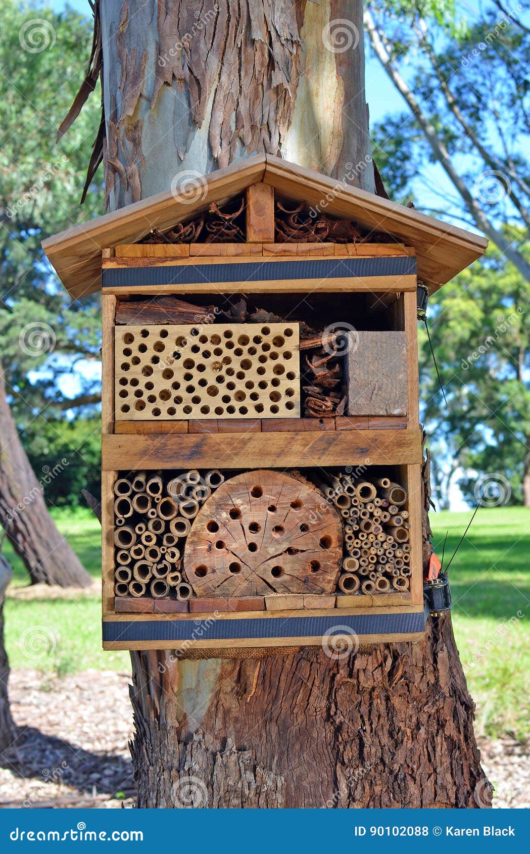bee hotel for solitary native bees