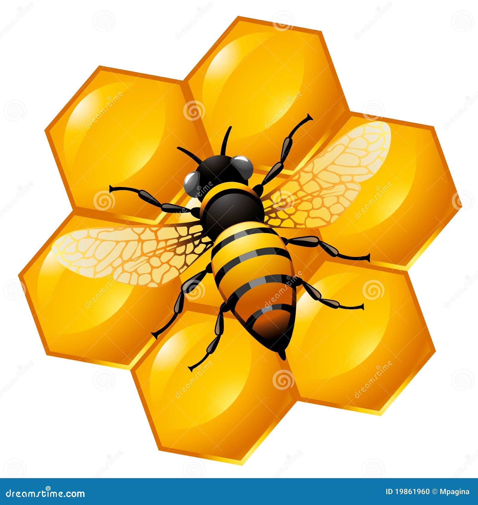 clipart bee cell - photo #48