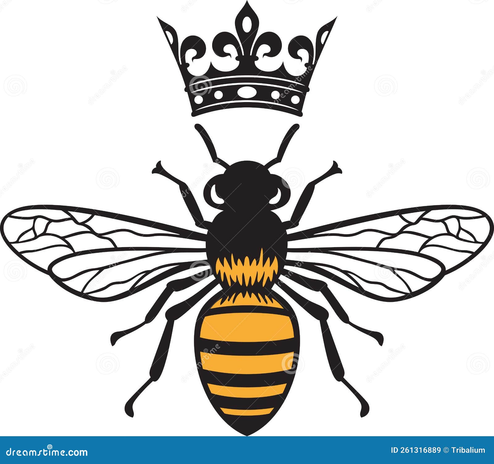 Bee Queen Color Vector stock vector. Illustration of honeybee - 261316889