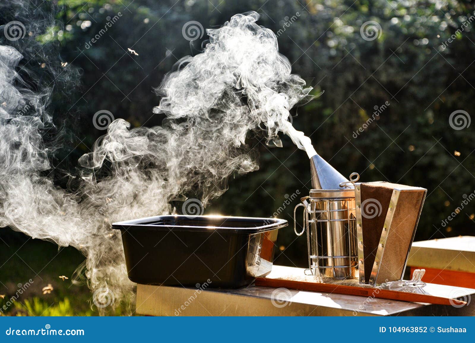 Bee Smoker Smoking In Apiary. Useful Tool For Beekeepers ...