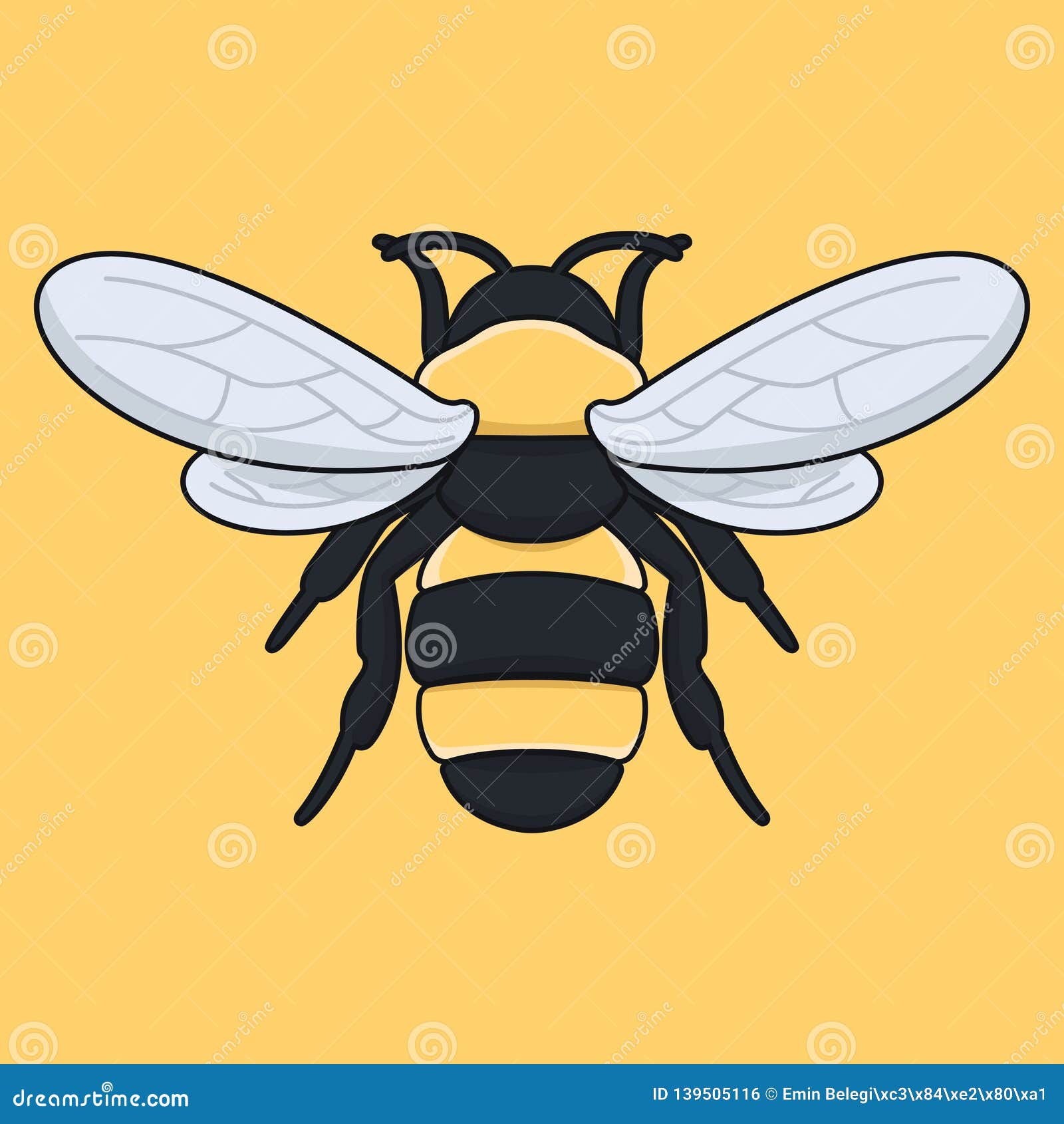 Engraving Illustration Of Honey Bee Stock Illustration - Download Image Now  - Bee, Honey Bee, Illustration - iStock