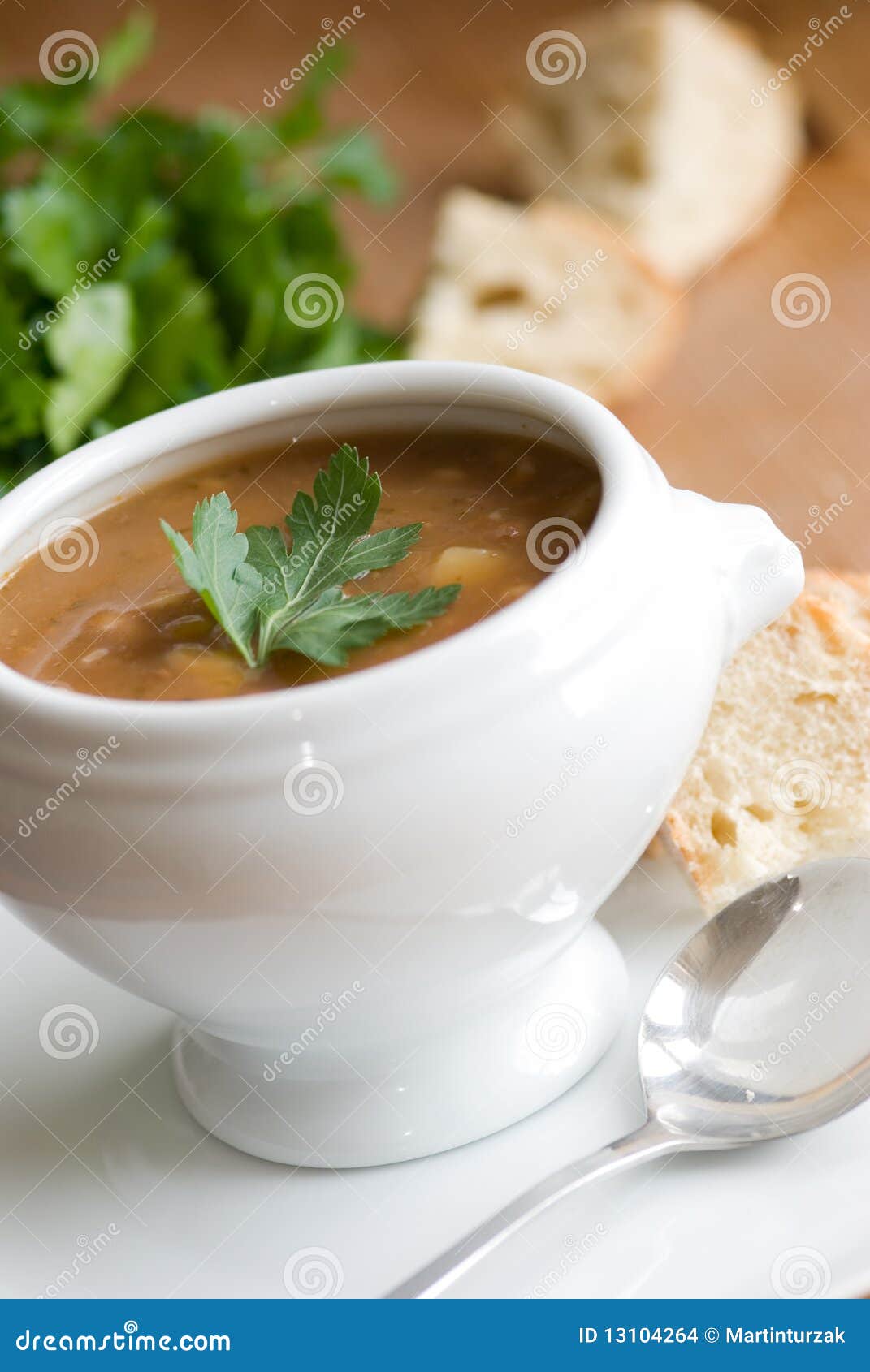 Beef broth stock photo. Image of vegetable, food, gourmet 13104264
