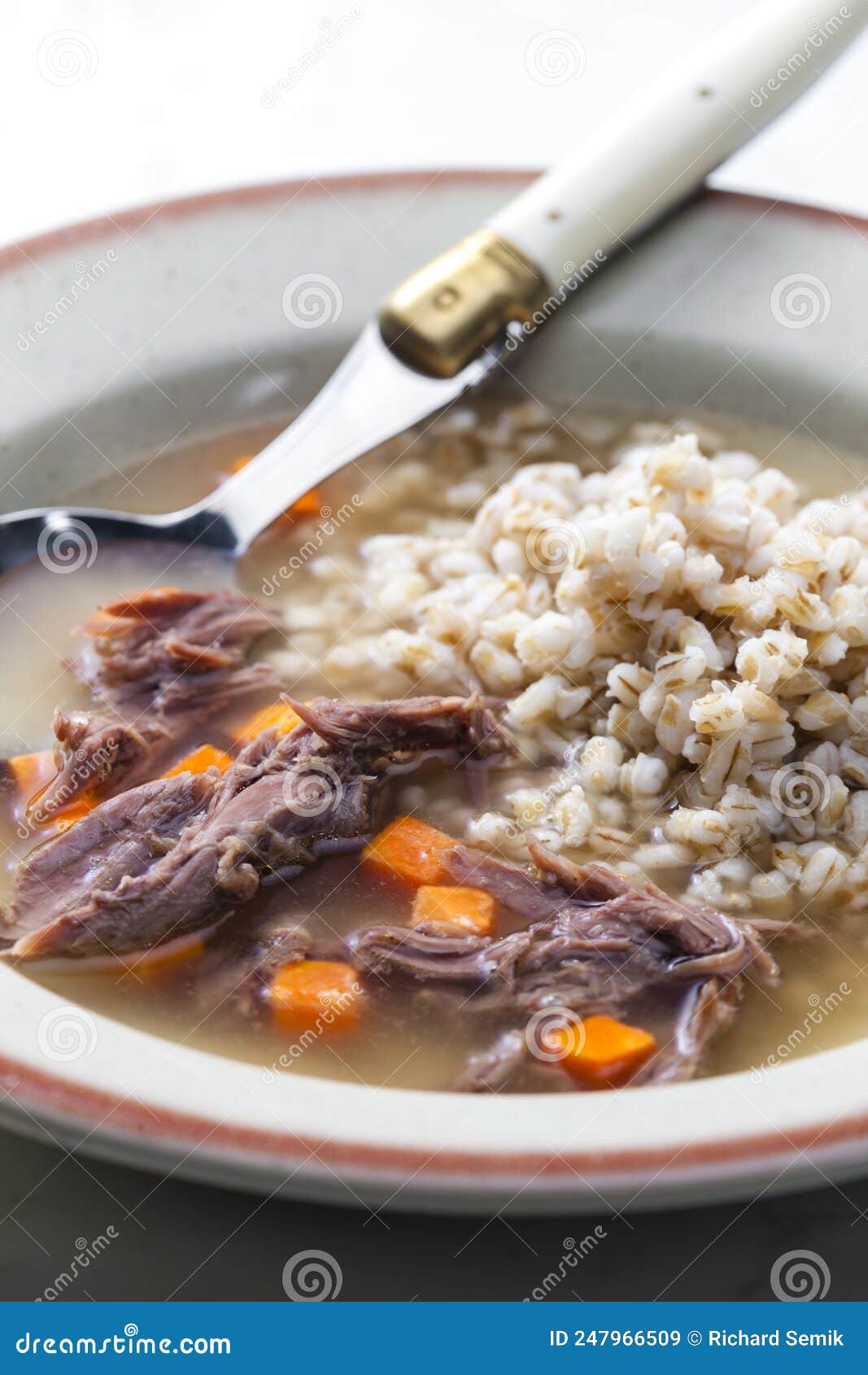 Beef Broth with Carrot and Barley Groats Stock Image Image of appetizer, meat 247966509