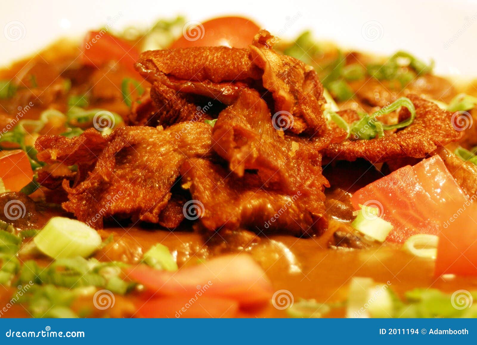 Beef Casserole stock photo. Image of gravy, casserole 2011194
