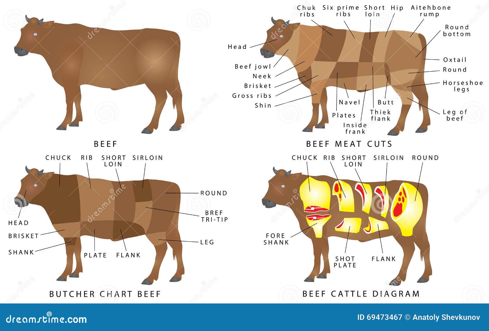 Brisket Cow Chart