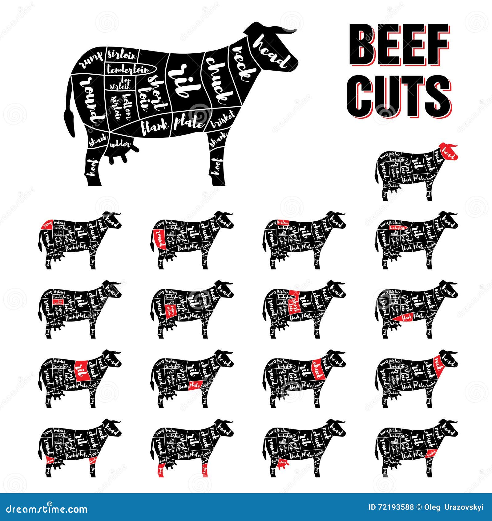 beef-cuts-vector-template-set-royalty-free-stock-image-cartoondealer