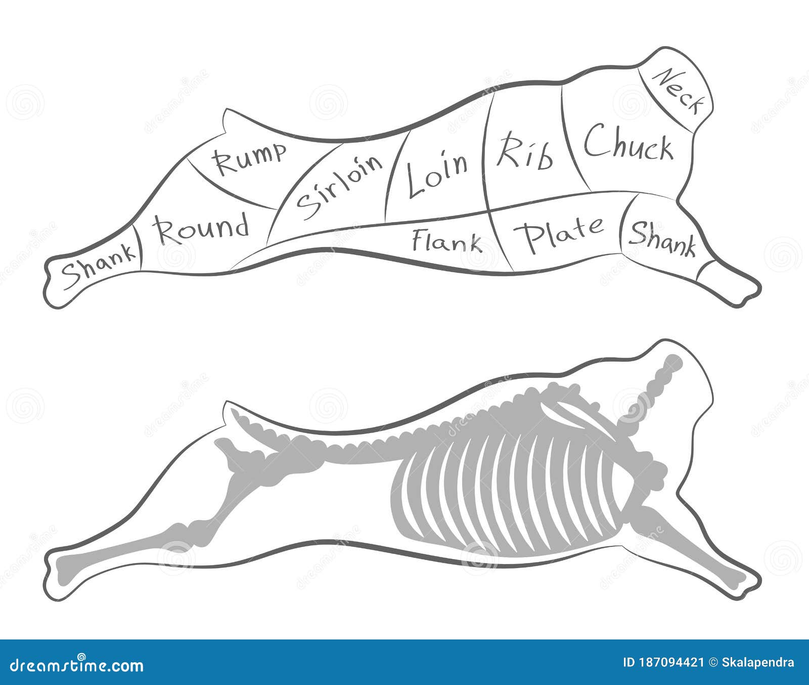 beef cutting scheme