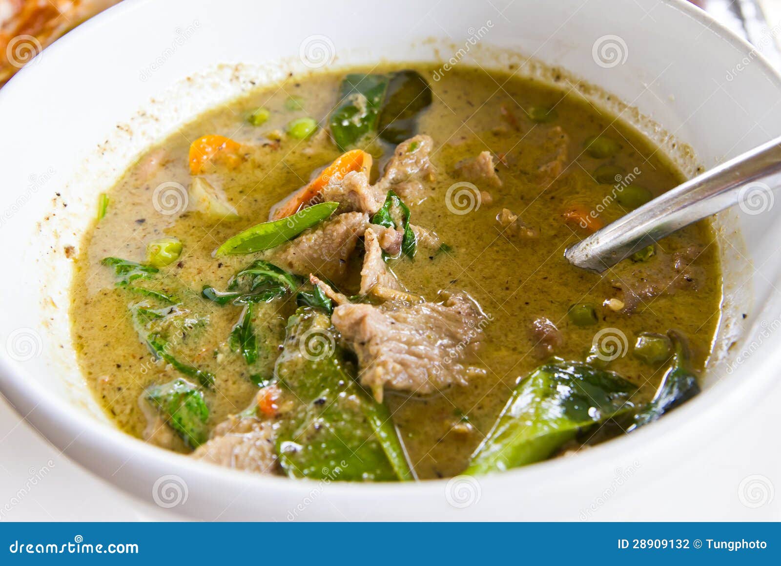 Beef green curry stock photo. Image of food, chinese 28909132