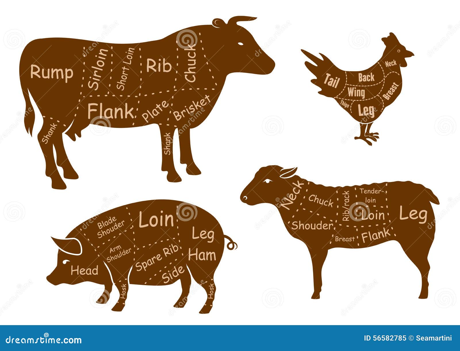 Chicken Meat Cuts Chart