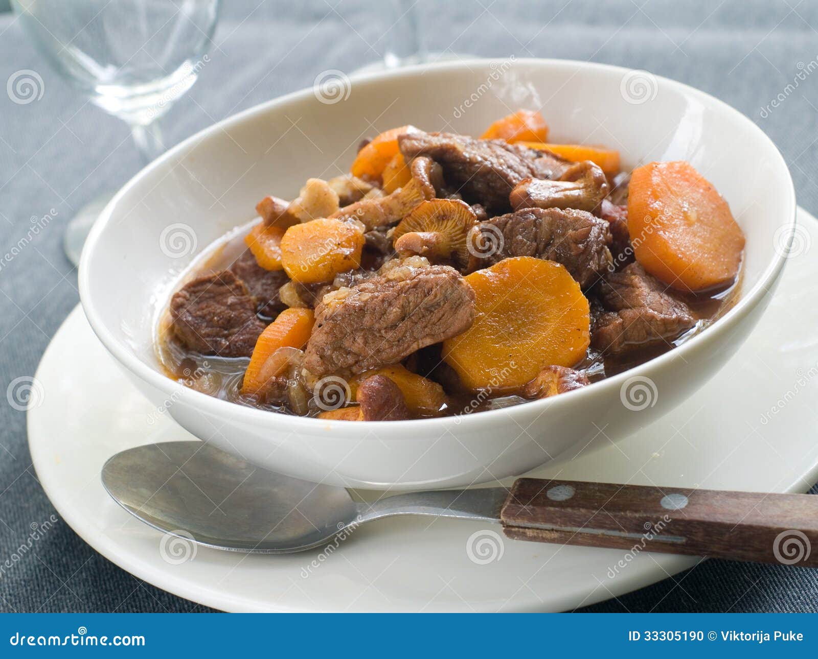 Beef ragout stock photo. Image of onion, dish, plate 33305190