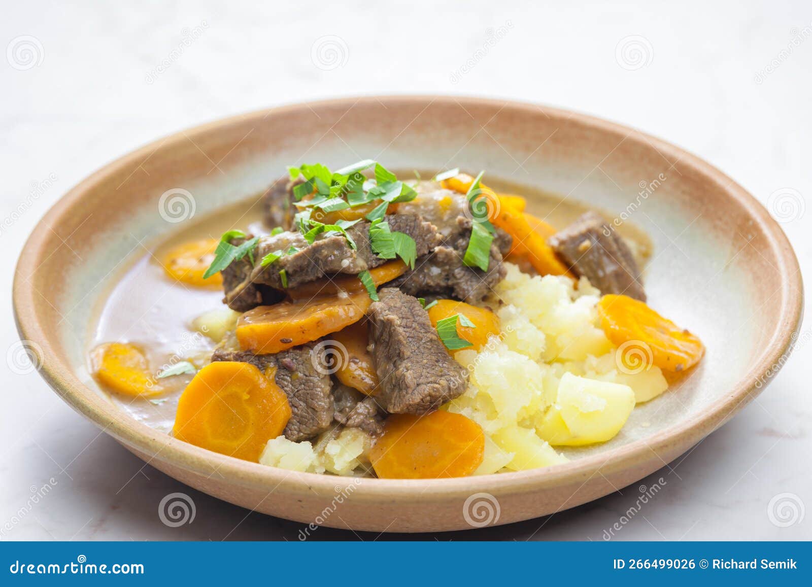 Beef Stew with Carrot and Mashed Potatoes Stock Photo Image of potato, vegetable 266499026