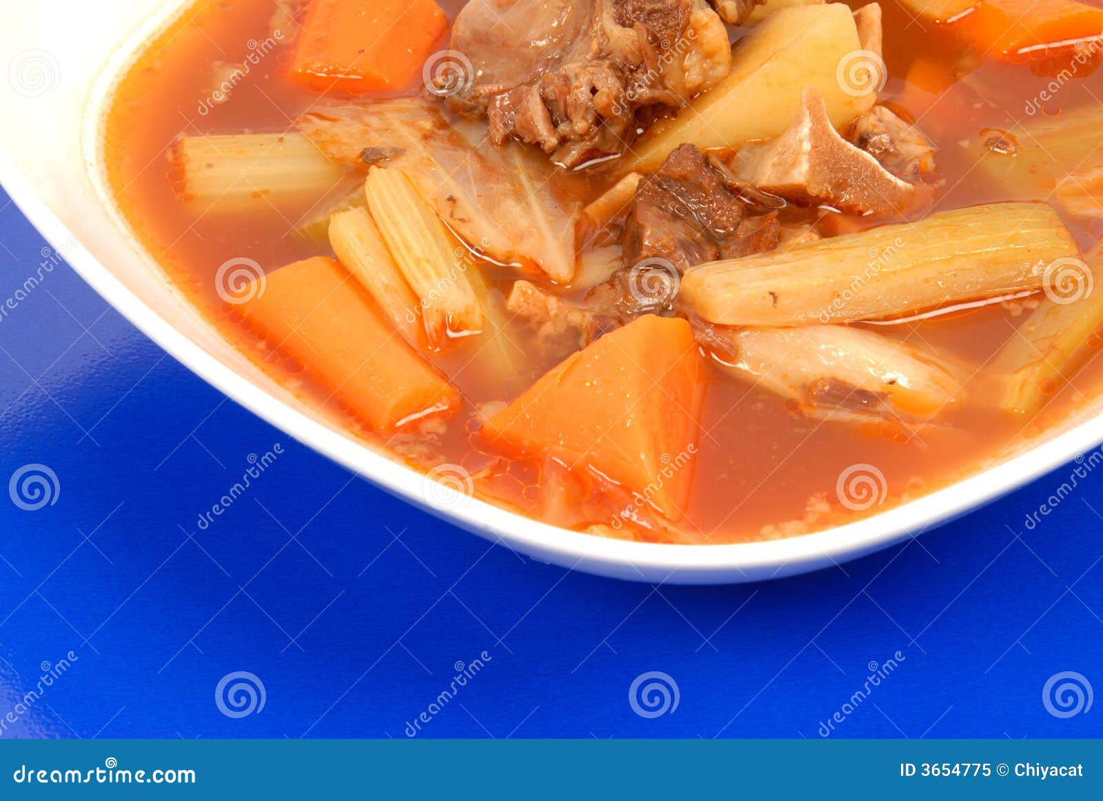 Beef and Vegetable Stew stock image. Image of bowl, bones 3654775