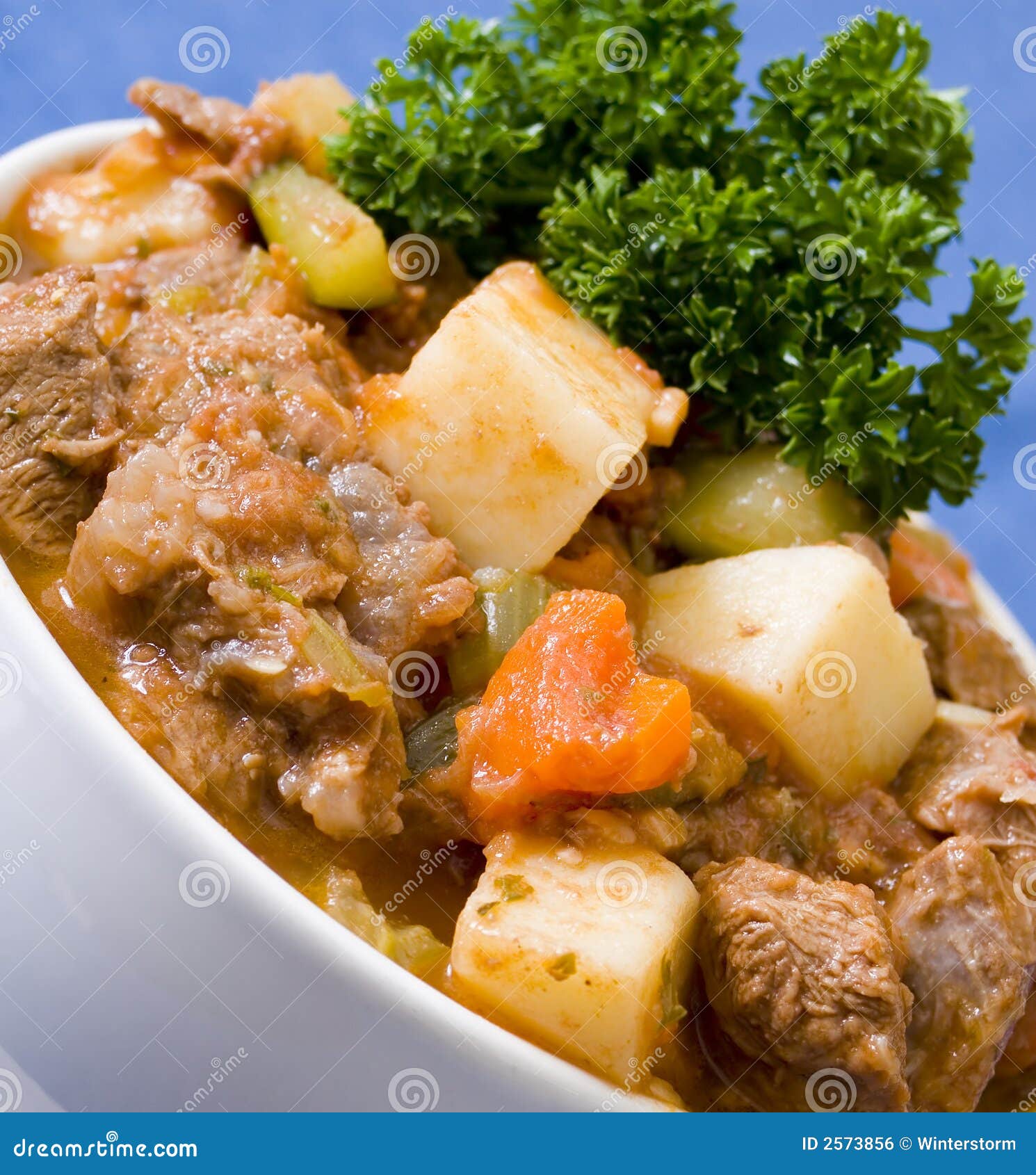 Beef and Veggie Casserole stock photo. Image of healthy 2573856