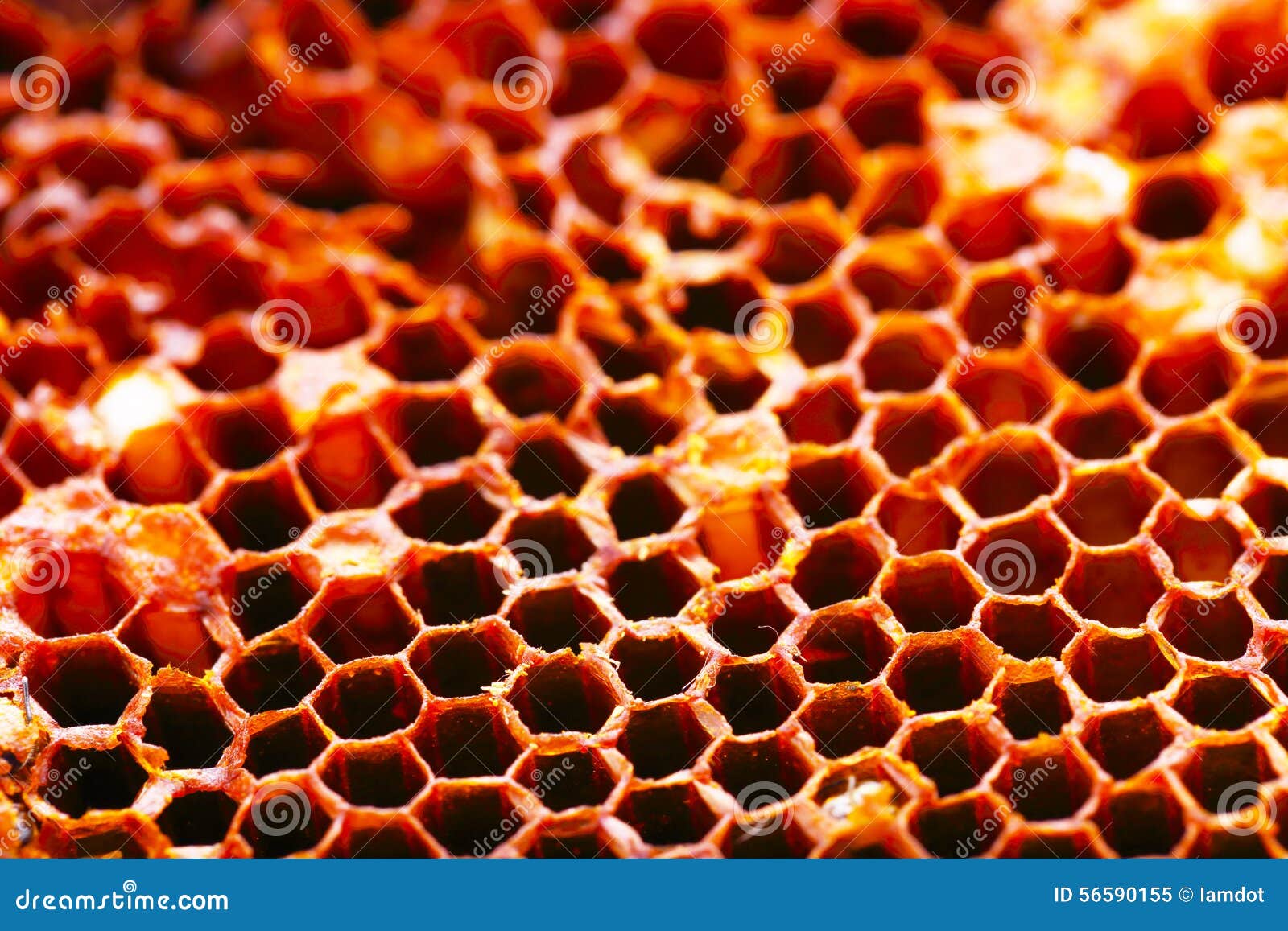 Beehive for Background Uses. Stock Image Image of flower,